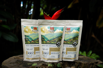 ZumBee Coffee (Colombia)
